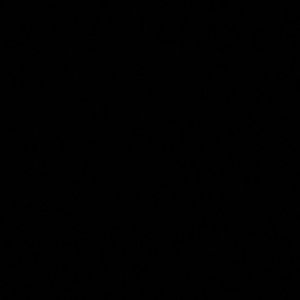 Meet your Posher, Kamryn